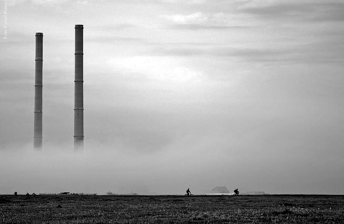 Coborî din autobuzul de cinci.jpg