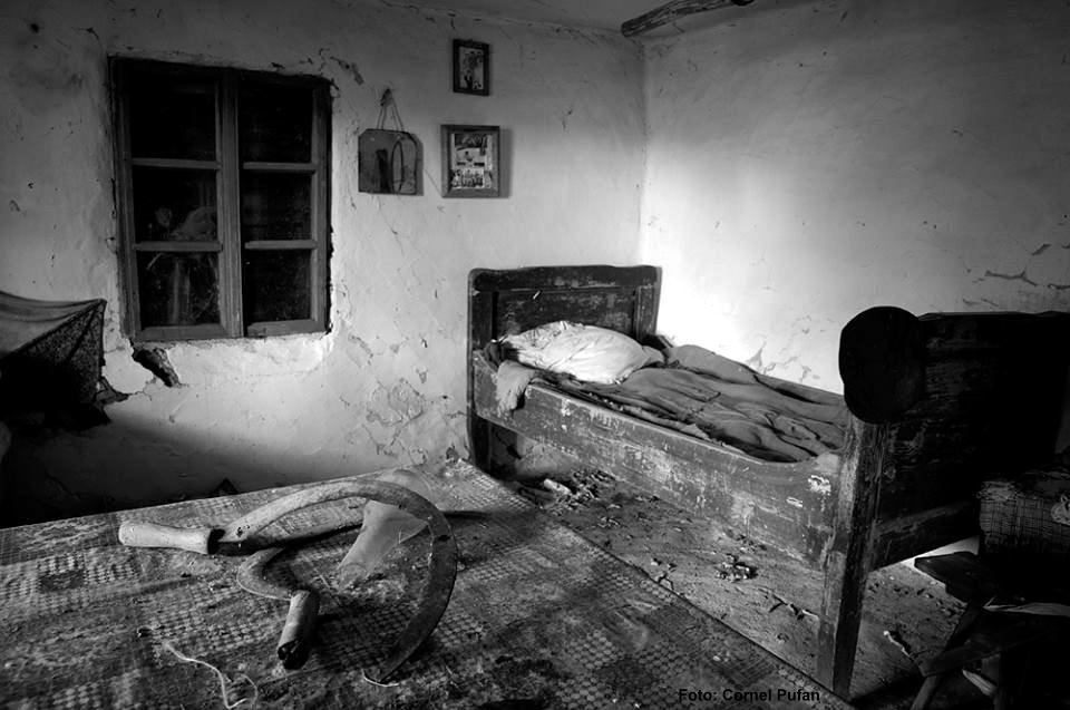 În casă, Cornel Pufan